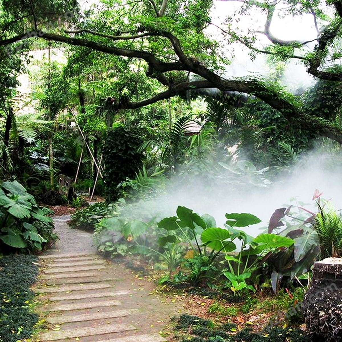 园林人造雾设备 雾森景观系统