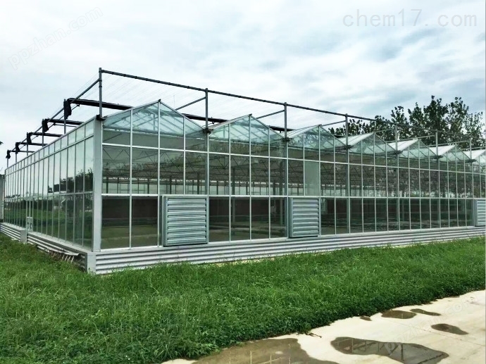 蔬菜玻璃温室多少钱