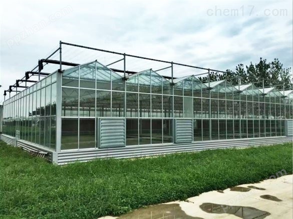 花卉玻璃温室公司