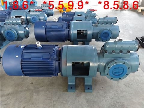 SNF1700R46UM3NW3黄山地区工业泵hsns三螺杆泵