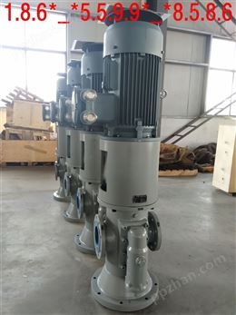 HSNS80-46黄山铁人泵业机床冷却泵