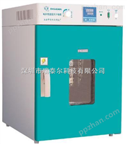 上海电热鼓风干燥试验箱