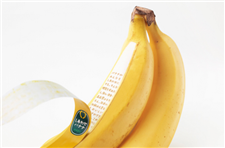 无所不设计的Nendo 香蕉包装逆袭市场惹人眼