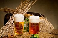西藏拉萨啤酒公司拟投资新建瓶装生产线