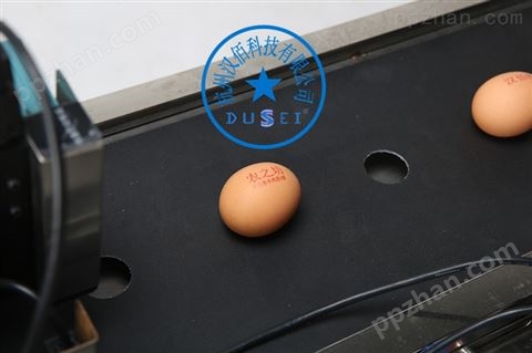 鸡蛋喷码机 杭州打字机 鸡蛋印字机