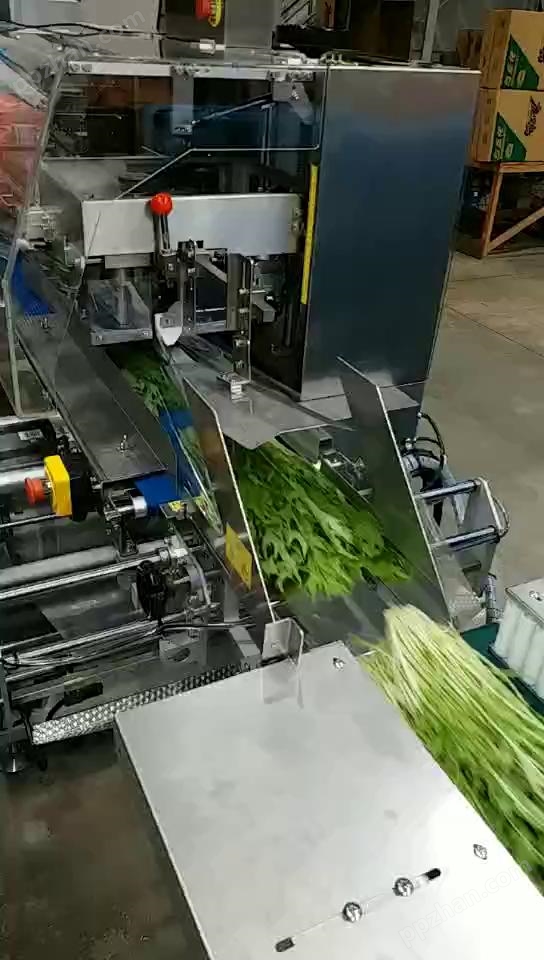 蔬菜自动包装机WS-160SY