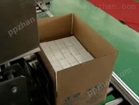 ZX-02全自动盒装产品装箱机