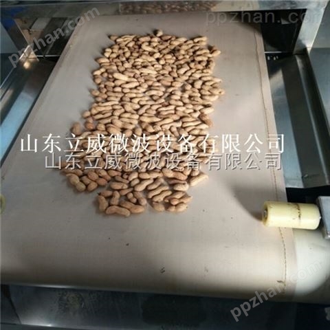 花生米烘烤熟化新技术 微波花生米烘烤熟化机
