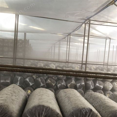 蘑菇棚加湿设备 食用菌喷雾增湿机