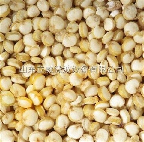 济南微波藜麦熟化设备生产厂家