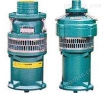 BQS（W） 排污泵BQW排沙泵潜水泵电泵